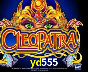 yd555 Curitiba - Live Status